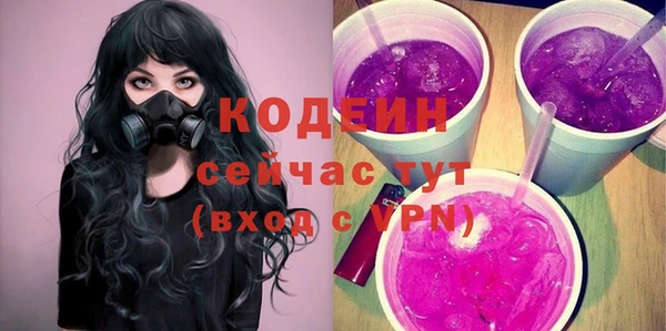 дурь Осташков