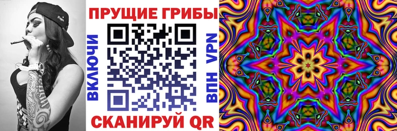 Галлюциногенные грибы Psilocybine cubensis  сайты даркнета состав  Красный Холм 